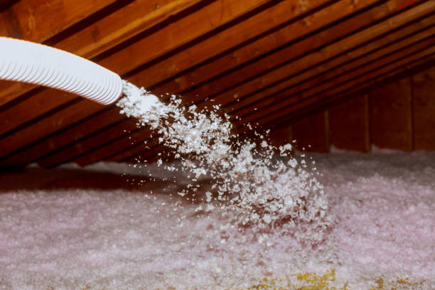 Best Eco-Friendly Insulation in Bay St Louis, MS