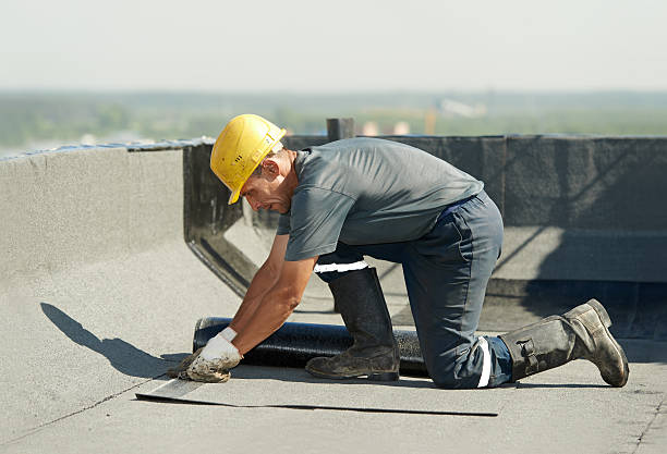 Best Cellulose Insulation in Bay St Louis, MS